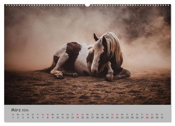Produktbild: Spiegel deiner Seele (hochwertiger Premium Wandkalender 2026 DIN A2 quer), Kunstdruck in Hochglanz