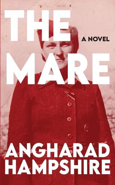 Produktbild: Hampshire, A: Mare