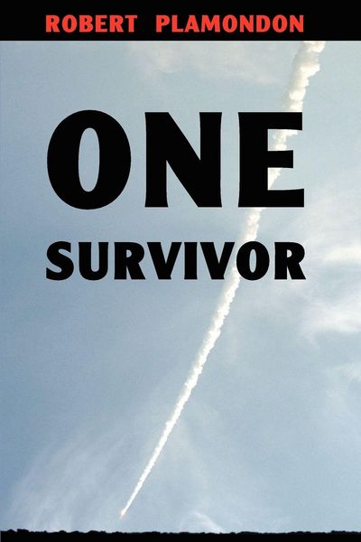 Produktbild: One Survivor