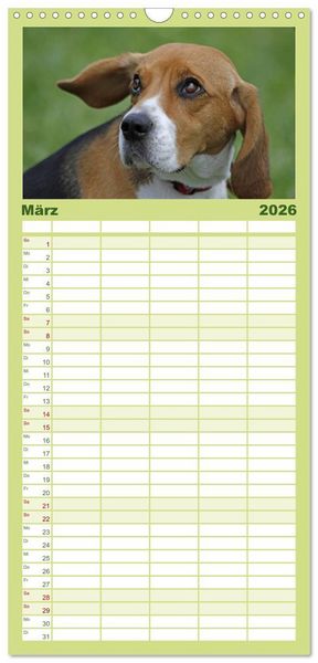Produktbild: Familienplaner 2026 - Beagle mit 5 Spalten (Wandkalender, 21 x 45 cm) CALVENDO