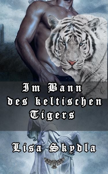 Produktbild: Im Bann des keltischen Tigers