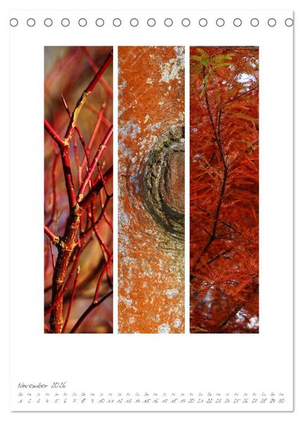 Produktbild: Natur Farben Dreiklang (Tischkalender 2026 DIN A5 hoch), CALVENDO Monatskalender