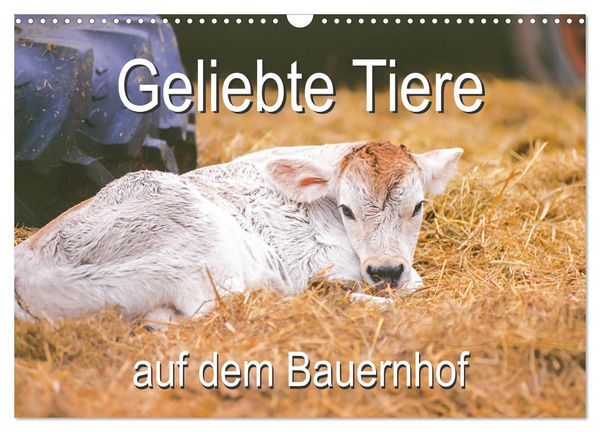 Produktbild: Geliebte Tiere auf dem Bauernhof (Wandkalender 2026 DIN A3 quer), CALVENDO Monatskalender