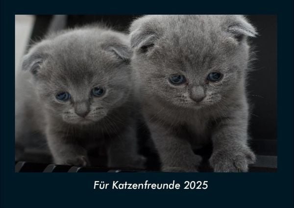 Produktbild: F&uuml;r Katzenfreunde 2025 Fotokalender DIN A4