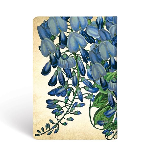 Produktbild: Hardcover Notizbuch Bl&uuml;hende Glyzinie, Mini, Liniert