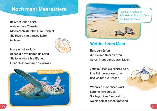 Produktbild: WAS IST WAS Erstes Lesen easy! Tiere im Meer