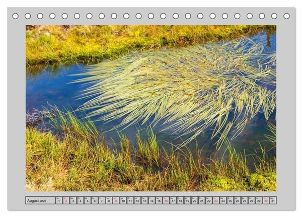 Produktbild: Farbenspiel - Kunstwerke in der Natur 2026 (Tischkalender 2026 DIN A5 quer), CALVENDO Monatskalender