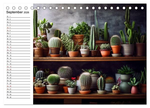 Produktbild: Kaktuszauberland (Tischkalender 2026 DIN A5 quer), CALVENDO Monatskalender