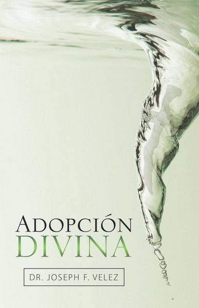 Produktbild: Adopci&oacute;n Divina