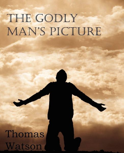 Produktbild: The Godly Man's Picture