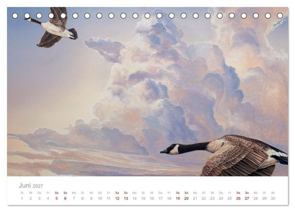 Produktbild: Paradise, Ausblicke und Tr&auml;umereien (Tischkalender 2027 DIN A5 quer), CALVENDO Monatskalender