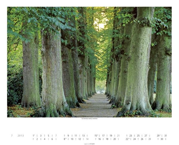 Produktbild: Alleen 2013