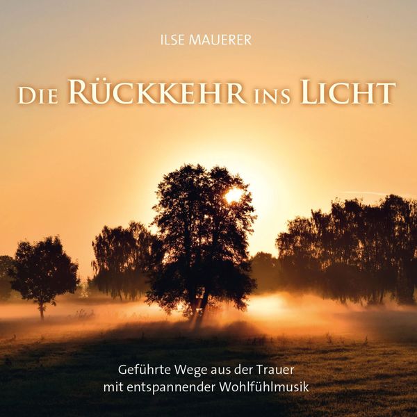 Die Rückkehr ins Licht