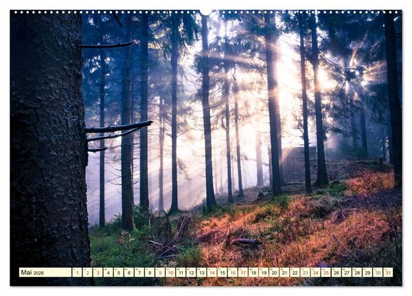 Produktbild: Mystische W&auml;lder - Zauber der Natur (hochwertiger Premium Wandkalender 2026 DIN A2 quer), Kunstdruck in Hochglanz