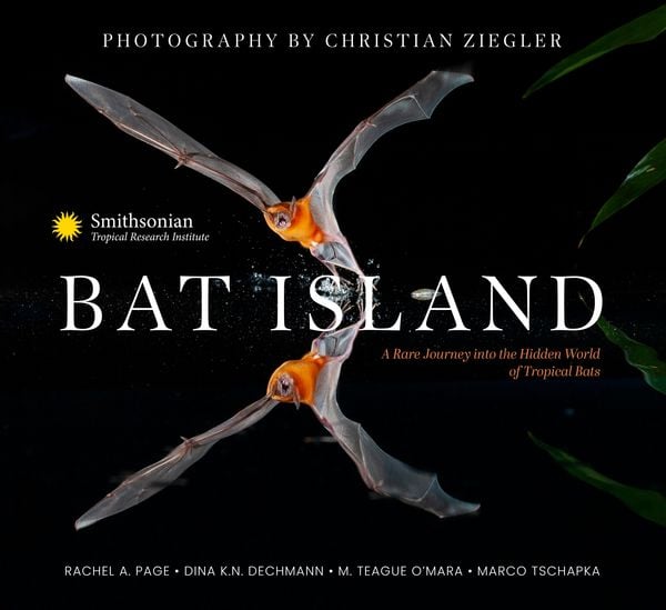Produktbild: Bat Island