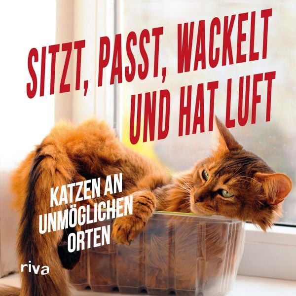 Produktbild: Sitzt, passt, wackelt und hat Luft