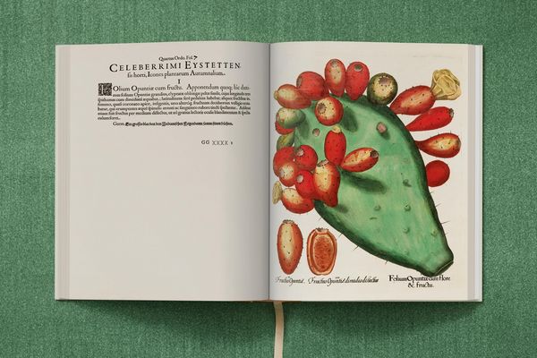 Produktbild: Basilius Besler. The Garden at Eichst&auml;tt