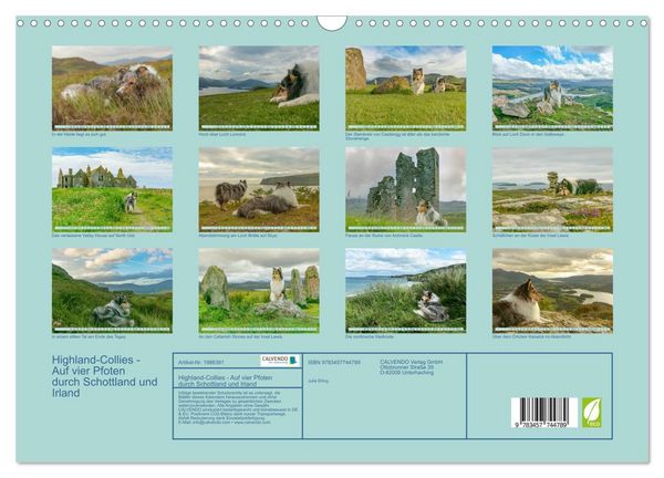 Produktbild: Highland-Collies - Auf vier Pfoten durch Schottland und Irland (Wandkalender 2026 DIN A3 quer), CALVENDO Monatskalender