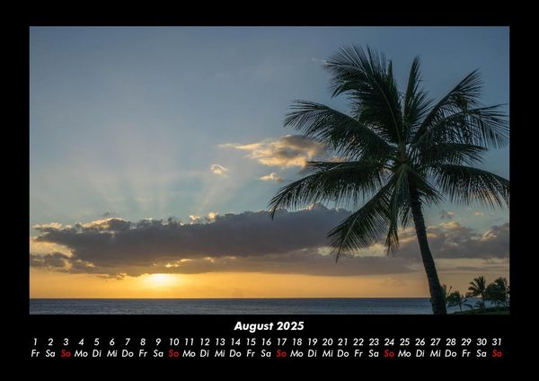Produktbild: Palmentraum 2025 Fotokalender DIN A3