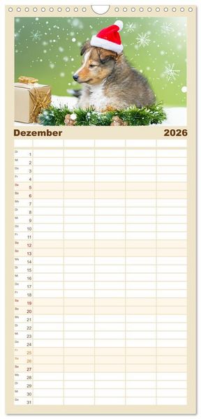 Produktbild: Familienplaner 2026 - Sheltie - Ein St&uuml;ck vom Gl&uuml;ck mit 5 Spalten (Wandkalender, 21 x 45 cm) CALVENDO