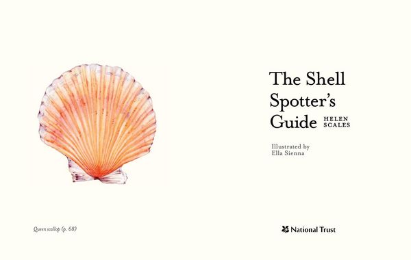 Produktbild: The Shell-Spotter's Guide