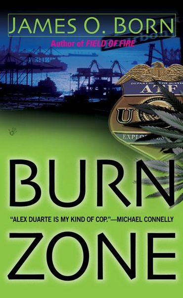 Produktbild: Burn Zone
