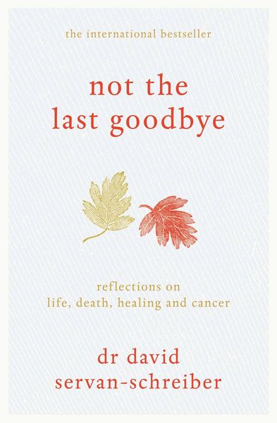 Produktbild: Not the Last Goodbye