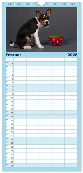 Produktbild: Familienplaner 2026 - Basenji-Sch&ouml;nheiten mit 5 Spalten (Wandkalender, 21 x 45 cm) CALVENDO