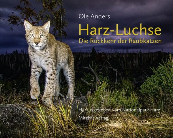 Produktbild: Harz-Luchse Die R&uuml;ckkehr der Raubkatzen