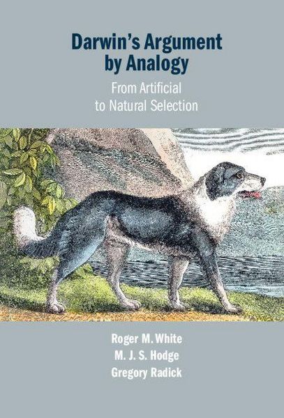 Produktbild: Darwin's Argument by Analogy