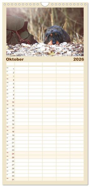 Produktbild: Familienplaner 2026 - Der Dackel mit 5 Spalten (Wandkalender, 21 x 45 cm) CALVENDO