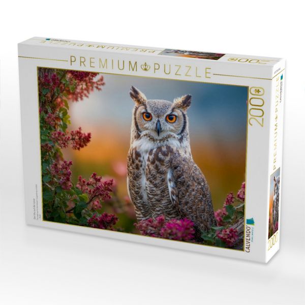 Produktbild: CALVENDO Puzzle Der Uhu auf der Lauer | 2000 Teile Lege-Gr&ouml;&szlig;e 90x67cm Foto-Puzzle f&uuml;r gl&uuml;ckliche Stunden