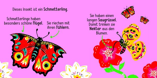 50 Wörter über die Natur - Insekten