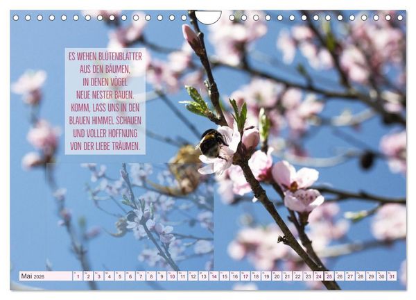 Produktbild: Stimmungsreigen Gef&uuml;hlvolle Texte und Bilder (Wandkalender 2026 DIN A4 quer), CALVENDO Monatskalender