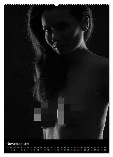 Produktbild: Erotic Silhouettes / UK-Version (High Quality Premium Wall Calendar 2026 DIN A2 portrait),CALVENDO 12 Month Wall Calendar