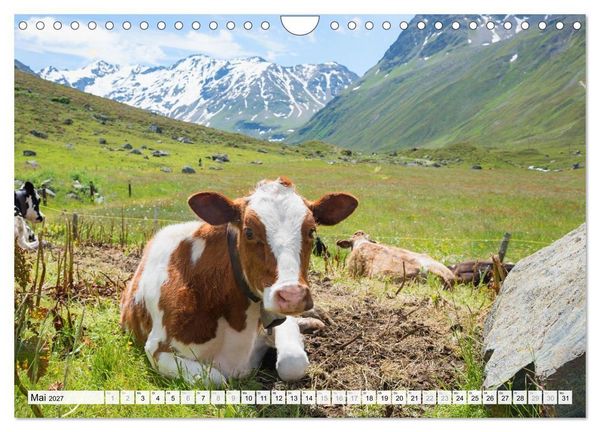 Produktbild: Graub&uuml;ndner Landschaften (Wandkalender 2027 DIN A4 quer), CALVENDO Monatskalender