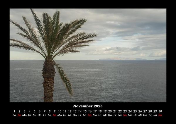 Produktbild: B&auml;ume 2025 Fotokalender DIN A3