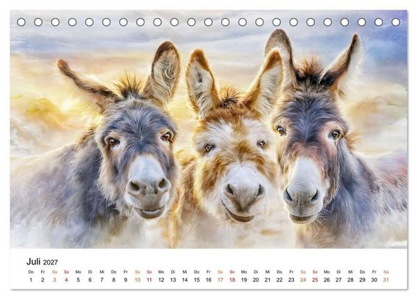 Produktbild: Esel - Wenn Ruhe ein Gesicht h&auml;tte (Tischkalender 2027 DIN A5 quer), CALVENDO Monatskalender