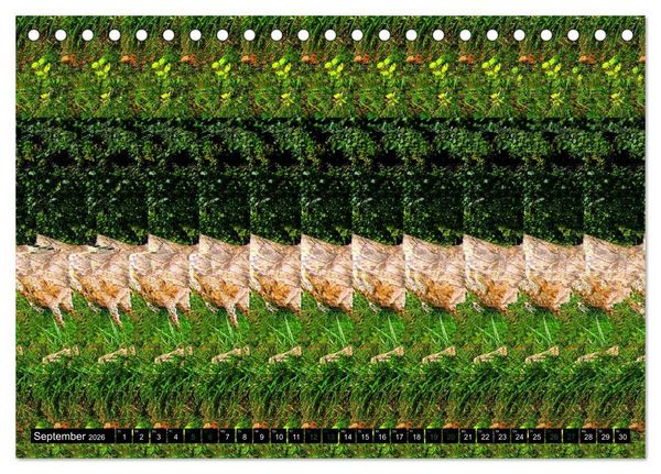 Produktbild: Magische Bilder - 3D Stereogramme (Tischkalender 2026 DIN A5 quer), CALVENDO Monatskalender