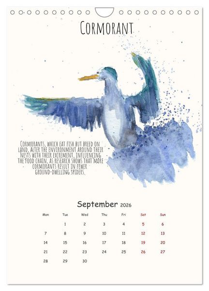 Produktbild: Symbiosis, the story of collaborations in nature (Wall Calendar 2026 DIN A4 portrait), CALVENDO 12 Month Wall Calendar