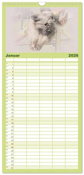 Produktbild: Familienplaner 2026 - Franz&ouml;sische Hirtenhunde 2026 mit 5 Spalten (Wandkalender, 21 x 45 cm) CALVENDO