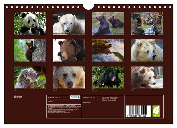 Produktbild: B&auml;ren (Wandkalender 2026 DIN A4 quer), CALVENDO Monatskalender