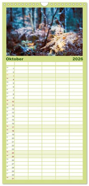Produktbild: Familienplaner 2026 - Farne vom Licht umtanzt mit 5 Spalten (Wandkalender, 21 x 45 cm) CALVENDO