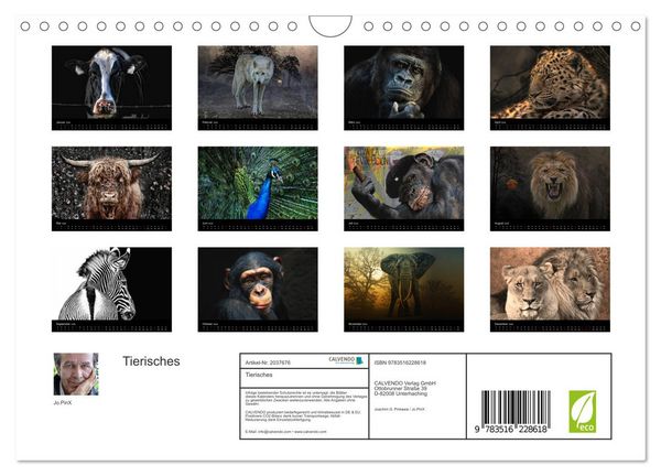Produktbild: Tierisches (Wandkalender 2026 DIN A4 quer), CALVENDO Monatskalender