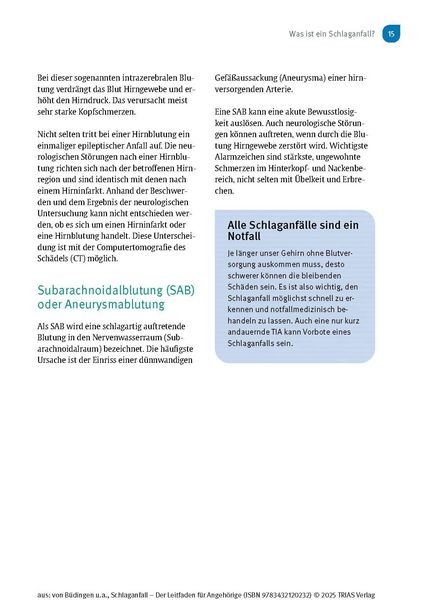 Produktbild: Schlaganfall - Der Leitfaden f&uuml;r Angeh&ouml;rige