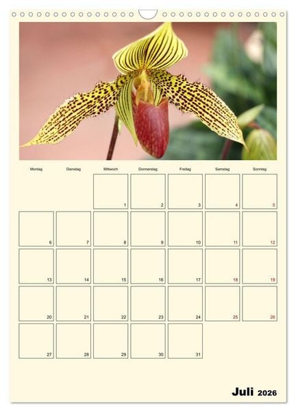Produktbild: Orchideentr&auml;ume (Wandkalender 2026 DIN A3 hoch), CALVENDO Monatskalender