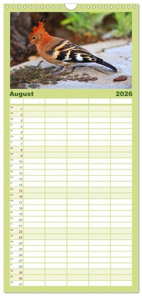 Produktbild: Familienplaner 2026 - Botswana- Pirschfahrt mit Garantie auf Wildlife mit 5 Spalten (Wandkalender, 21 x 45 cm) CALVENDO