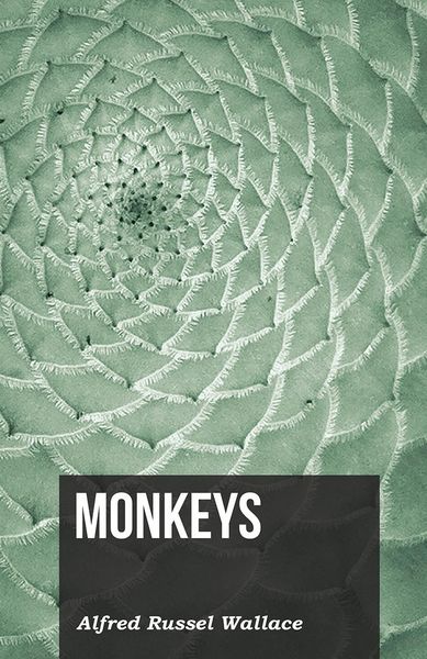 Produktbild: Monkeys