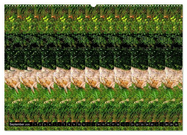 Produktbild: Magische Bilder - 3D Stereogramme (Wandkalender 2026 DIN A2 quer), CALVENDO Monatskalender