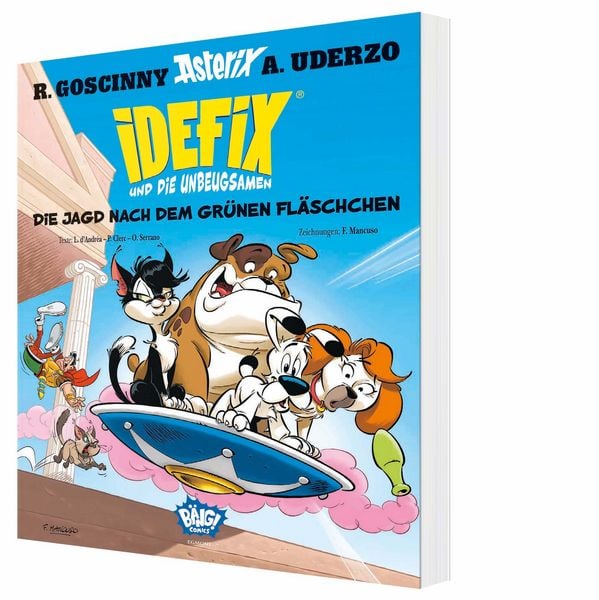 Produktbild: Idefix und die Unbeugsamen 08